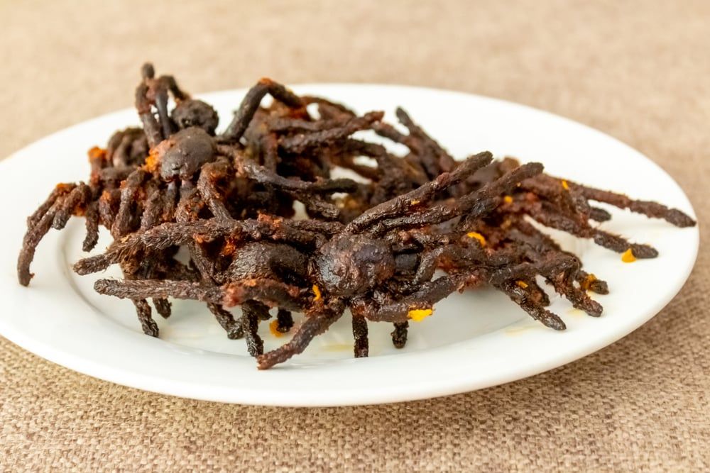 Tarantula Goreng