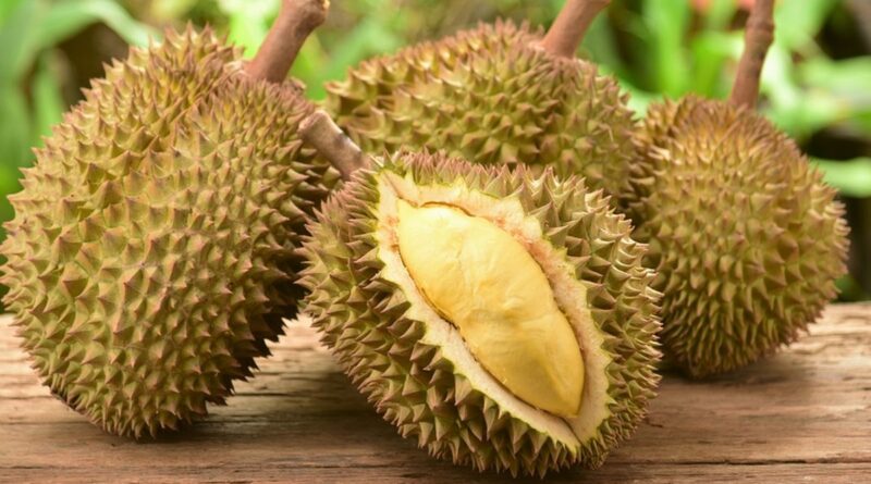 Durian Dalam Kuliner: Resep Olahan Yang Lezat Dan Kreatif