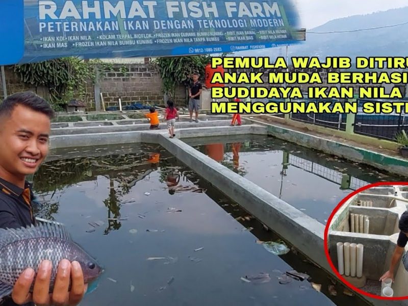 Potensi Pasar