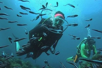 Indonesia Cabut Izin Tambang Di Kawasan Menyelam