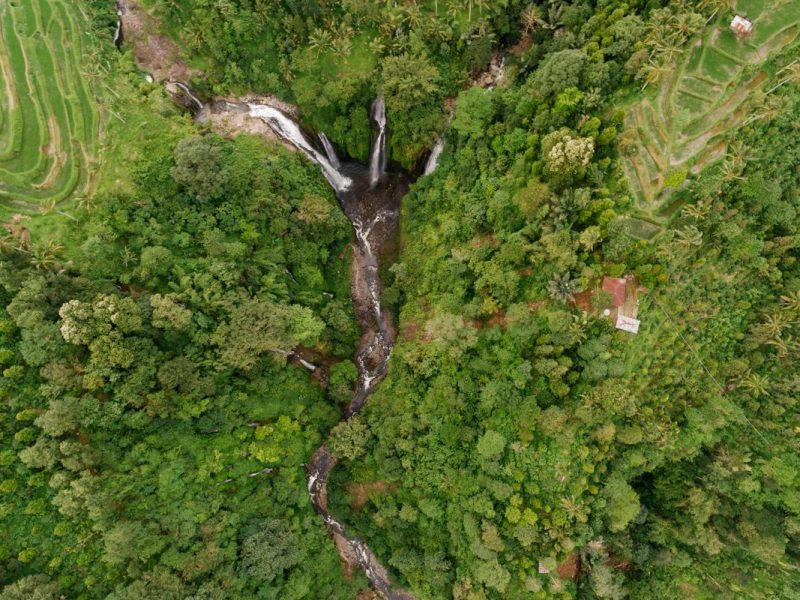 Gerakan Pandawara & Artis: Dari Medsos Ke Patungan Beli Hutan