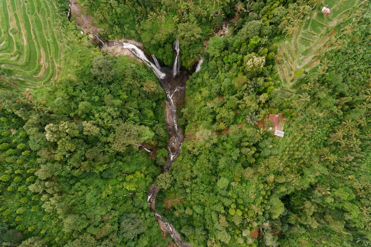 Gerakan Pandawara & Artis: Dari Medsos Ke Patungan Beli Hutan