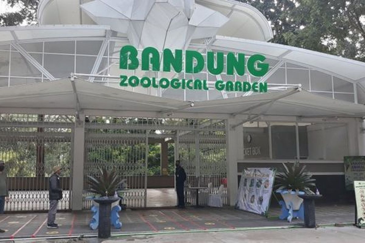 Krisis Bandung Zoo: Tutup 5 Bulan, Biaya Pakan Melejit