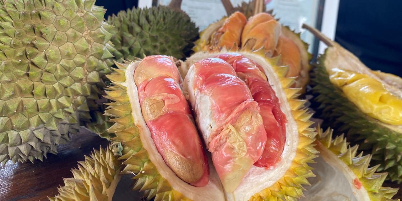 Durian Merah Banyuwangi, Keunikannya Kini Di Lindungi Negara