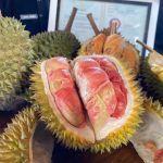 Durian Merah Banyuwangi, Keunikannya Kini Di Lindungi Negara