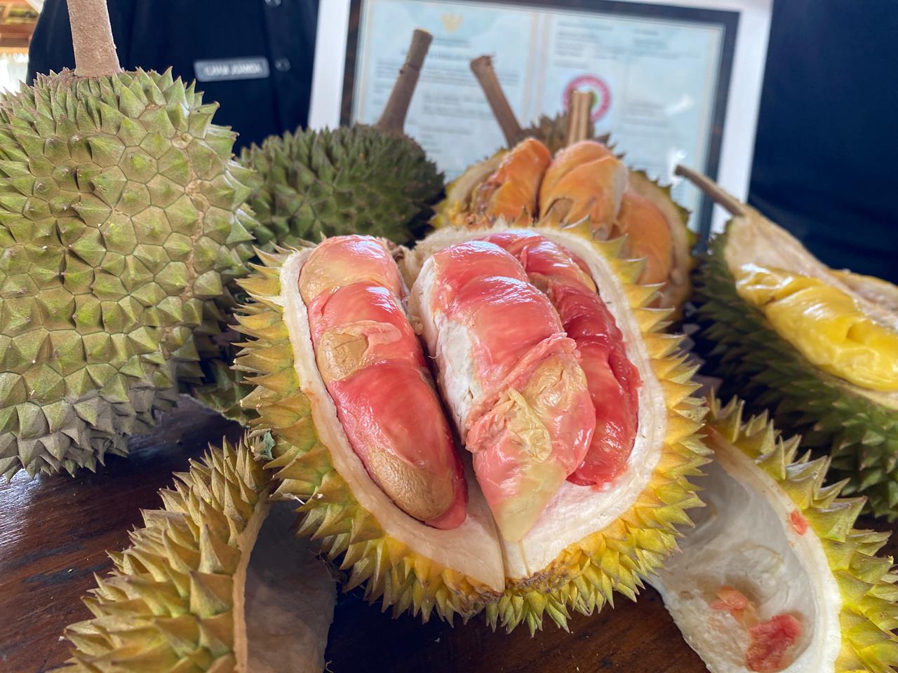 Durian Merah