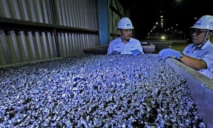 Harga Nikel Tertekan, INCO Fokus Di Ketahanan Jangka Panjang