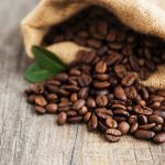 Kopi Aceh Memiliki Varietas Kopi Terkenal Dengan Cita Rasanya