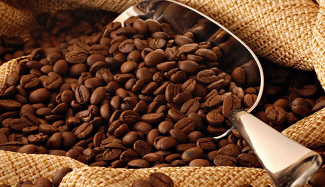 Biji Kopi Gayo