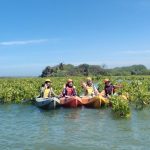 Mengulik Kawasan Ekowisata Mangrove Di Pantai Baros
