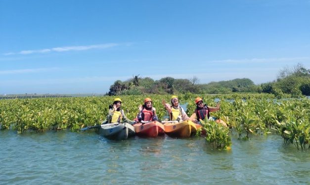 Mengulik Kawasan Ekowisata Mangrove Di Pantai Baros