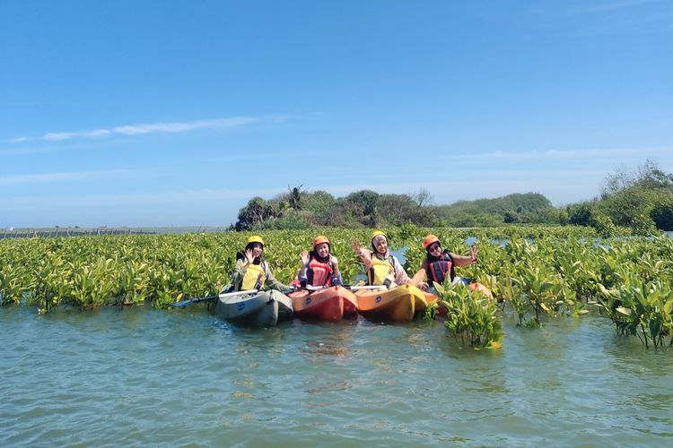 Mengulik Kawasan Ekowisata Mangrove Di Pantai Baros