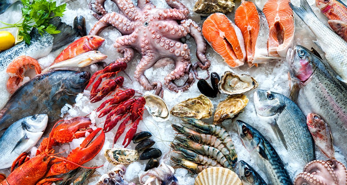 5 Kelezatan Makanan Laut Yang Kaya Nutrisi