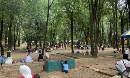 Cikini Ke Ragunan, Kisah Pindahnya Kebun Binatang Jakarta