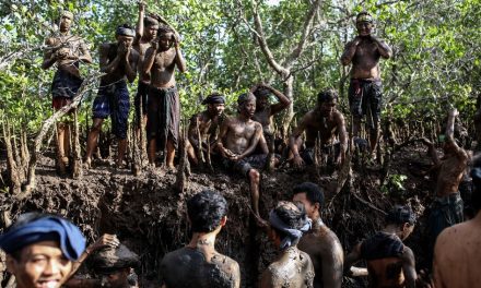 Tradisi Unik Mandi Lumpur Di Desa Kalimantan Jadi Daya Tarik