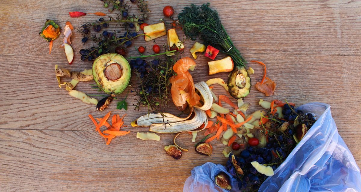 Food Waste, Saat Makanan Menjadi Masalah Etika