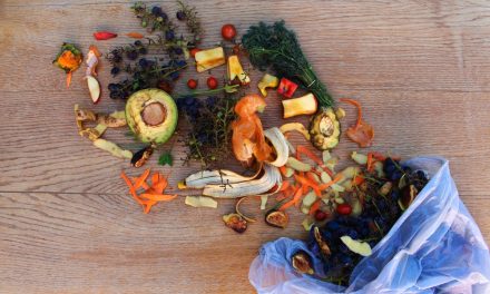 Food Waste, Saat Makanan Menjadi Masalah Etika
