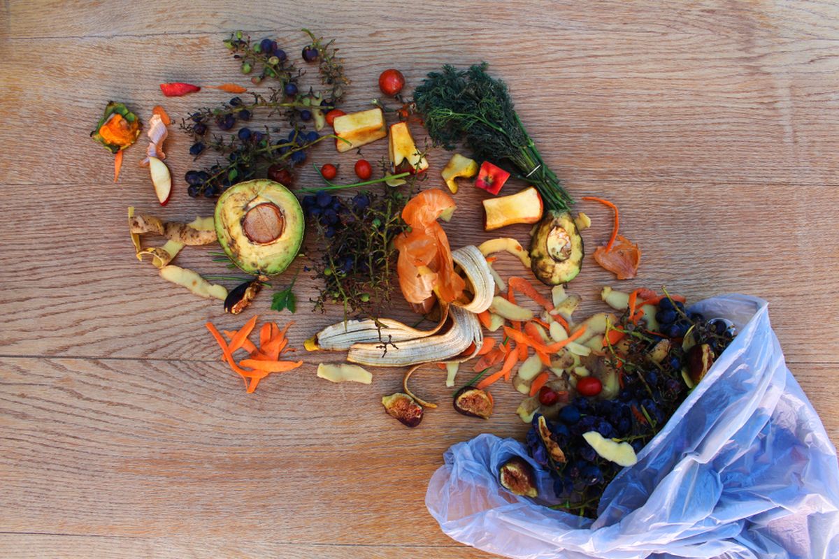 Food Waste